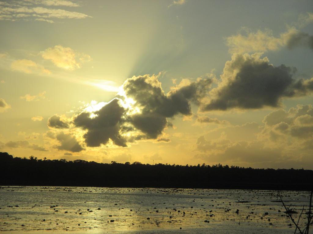 Coconut Island Villa Tangalle Bagian luar foto