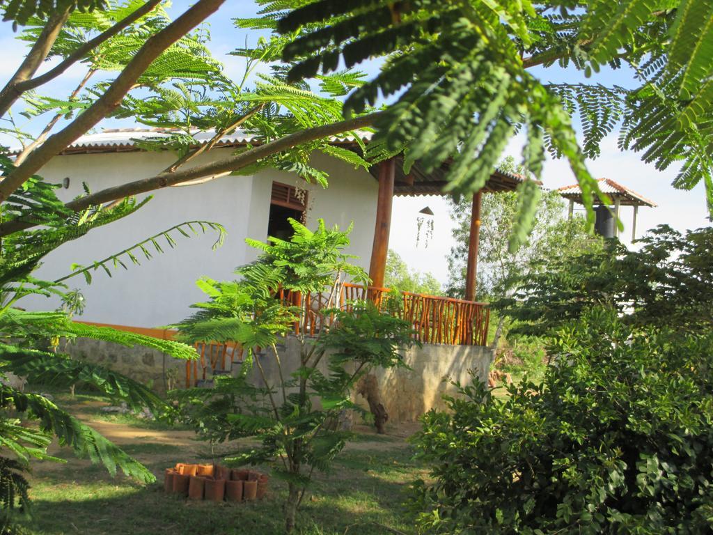 Coconut Island Villa Tangalle Bagian luar foto