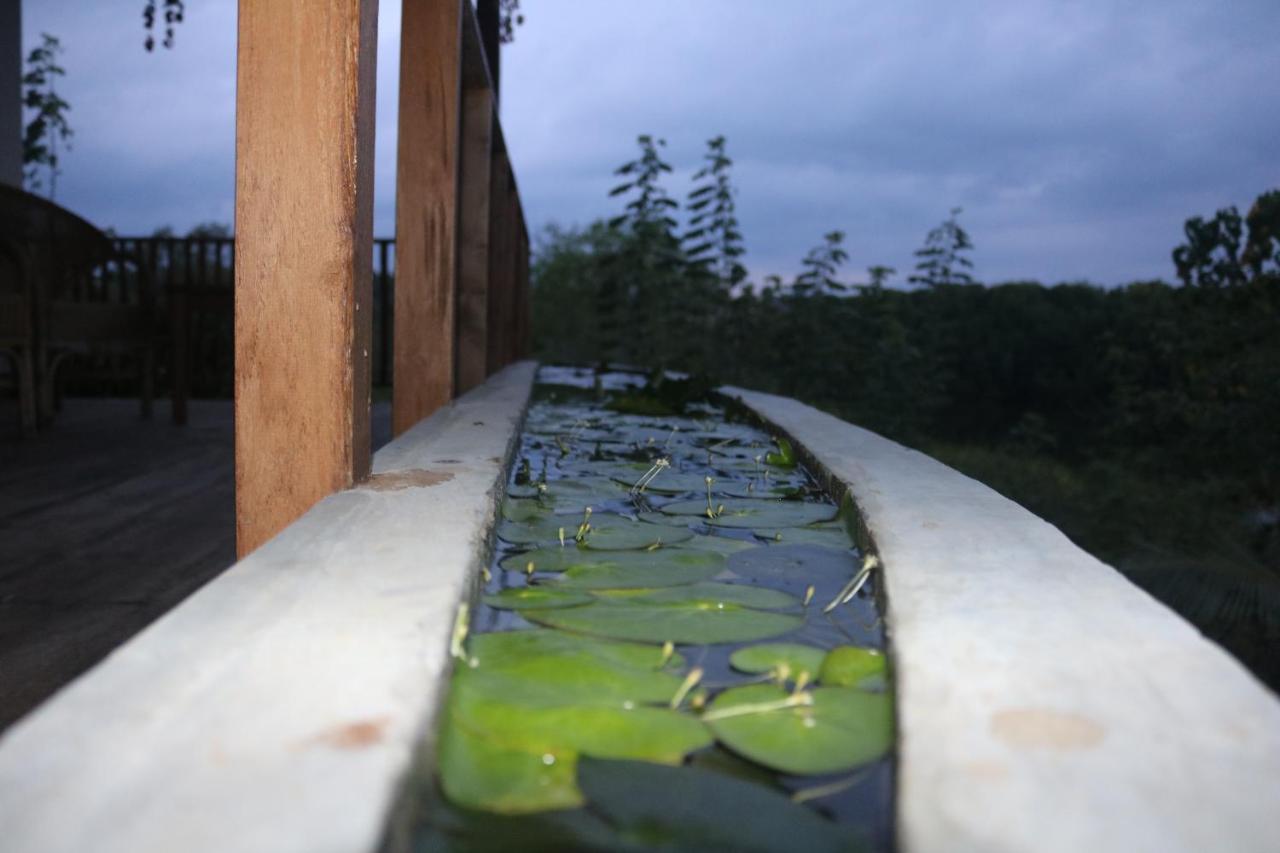 Coconut Island Villa Tangalle Bagian luar foto