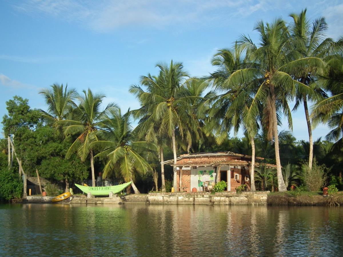 Coconut Island Villa Tangalle Bagian luar foto