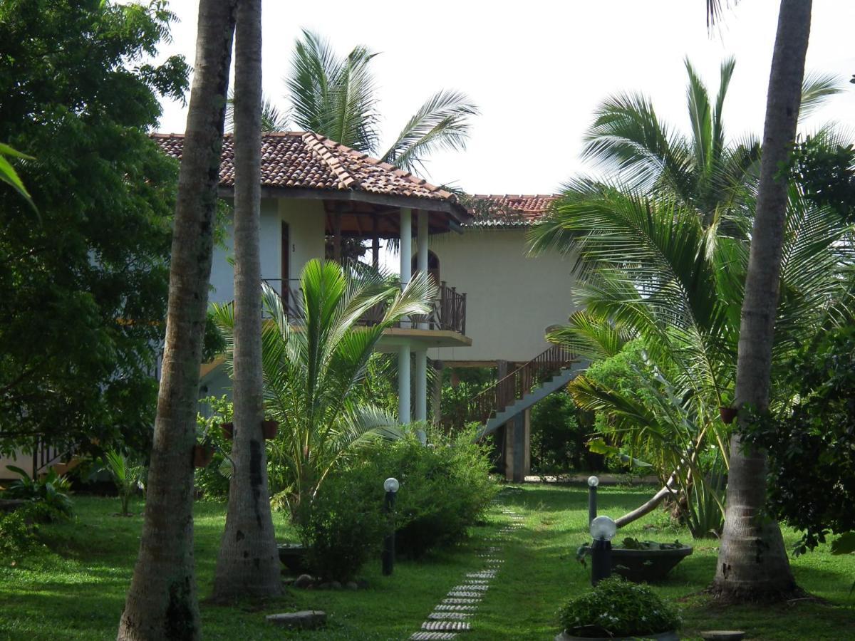 Coconut Island Villa Tangalle Bagian luar foto