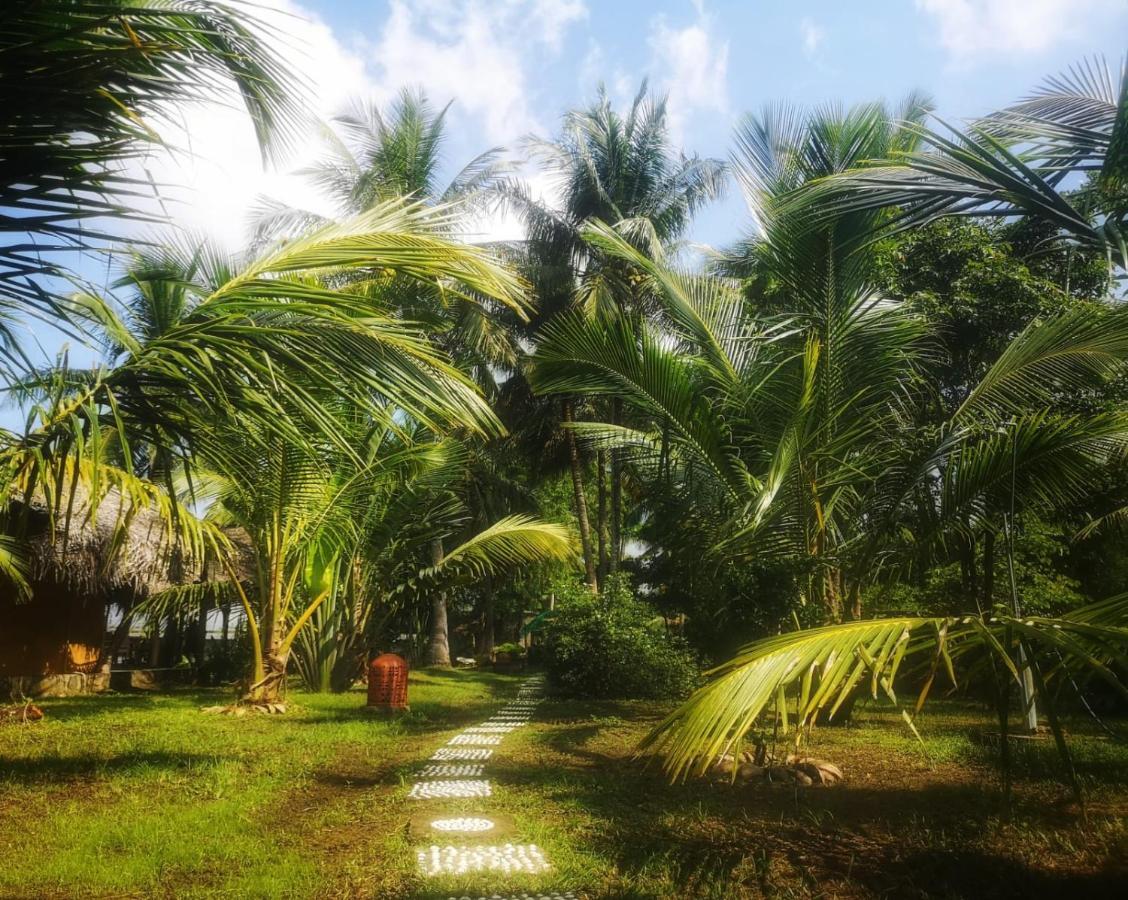 Coconut Island Villa Tangalle Bagian luar foto