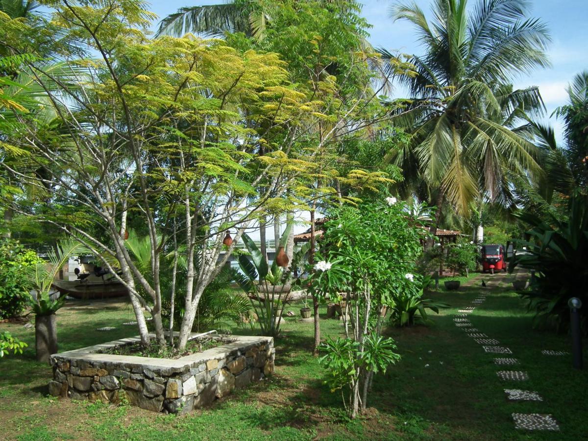 Coconut Island Villa Tangalle Bagian luar foto