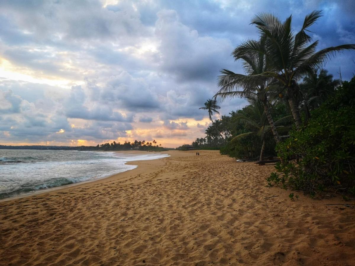 Coconut Island Villa Tangalle Bagian luar foto