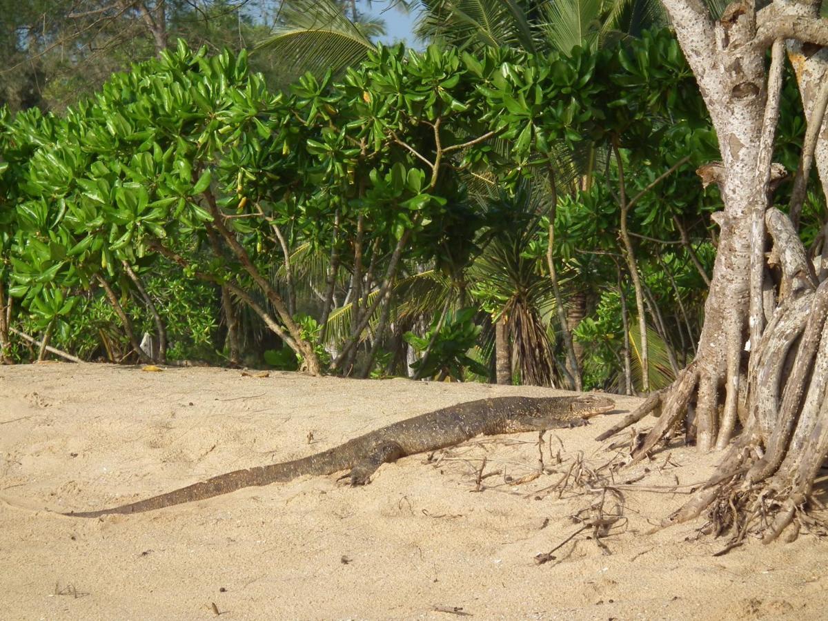 Coconut Island Villa Tangalle Bagian luar foto