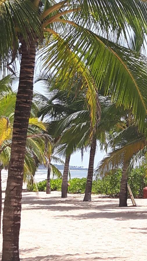 Coconut Island Villa Tangalle Bagian luar foto