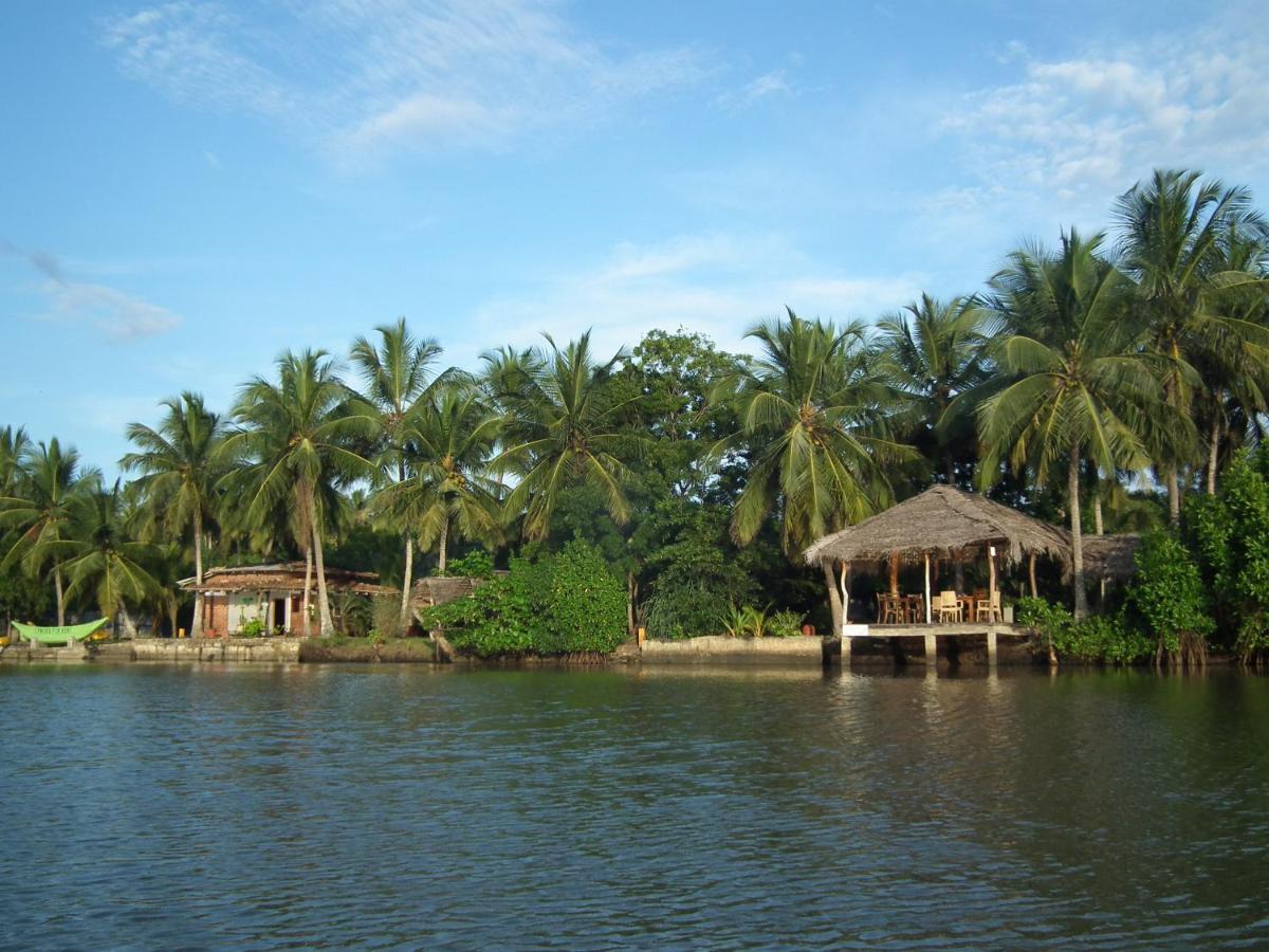 Coconut Island Villa Tangalle Bagian luar foto