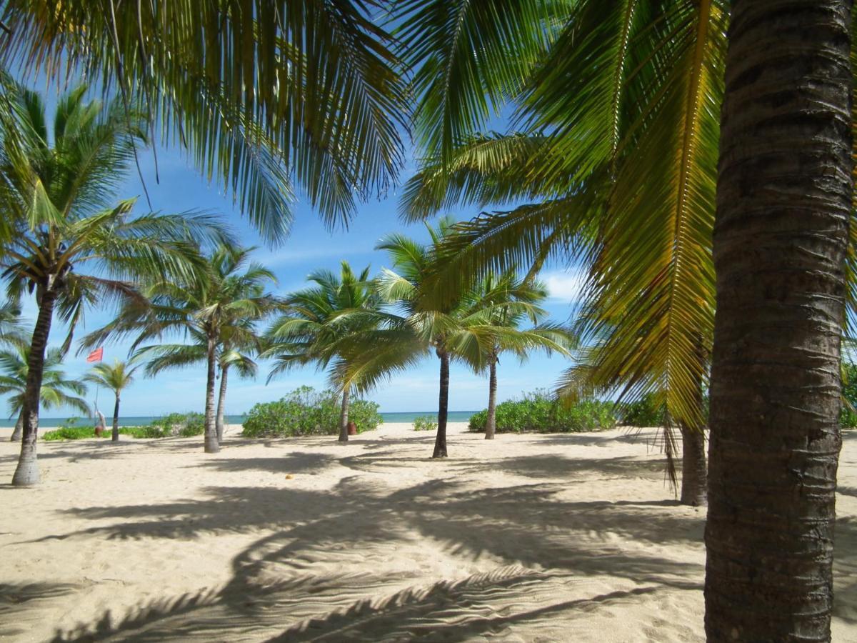Coconut Island Villa Tangalle Bagian luar foto
